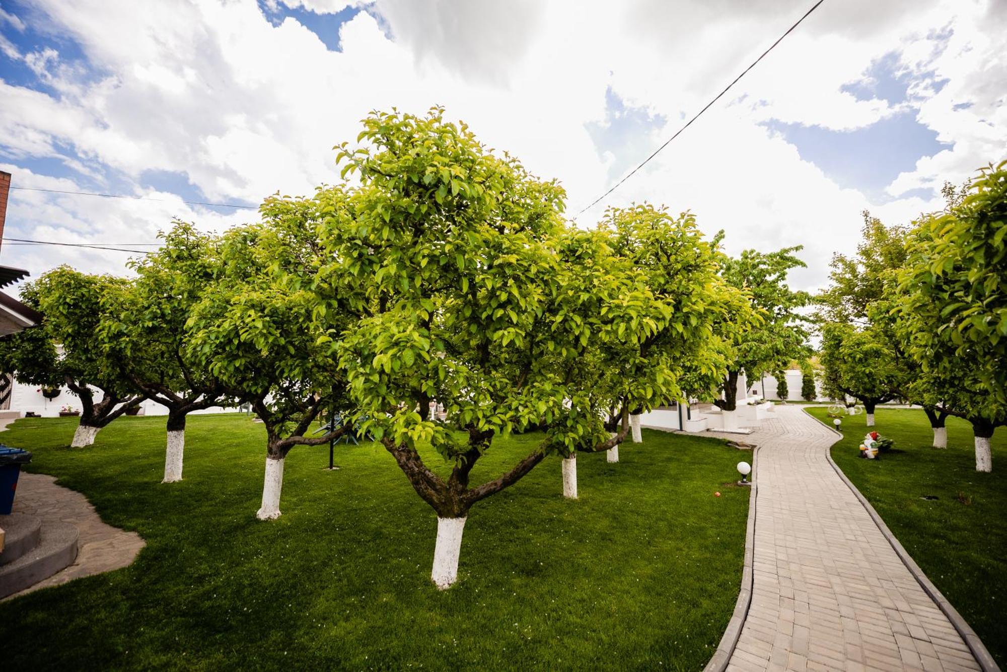 Nb Boutique Hotel Tuzla Luaran gambar